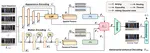 AMP-Net: Appearance-Motion Prototype Network Assisted Automatic Video Anomaly Detection System